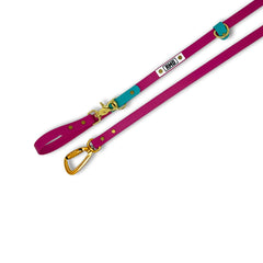 Rocky Mountain Dog (Used) Hands｜Free Biothane Waterproof 狗帶es｜Swivel Carabiner 產品細節圖 3