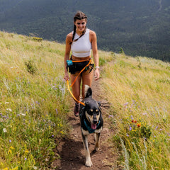 Rocky Mountain Dog Hands｜Free Biothane Waterproof 狗帶es｜Swivel Carabiner 產品細節圖 3