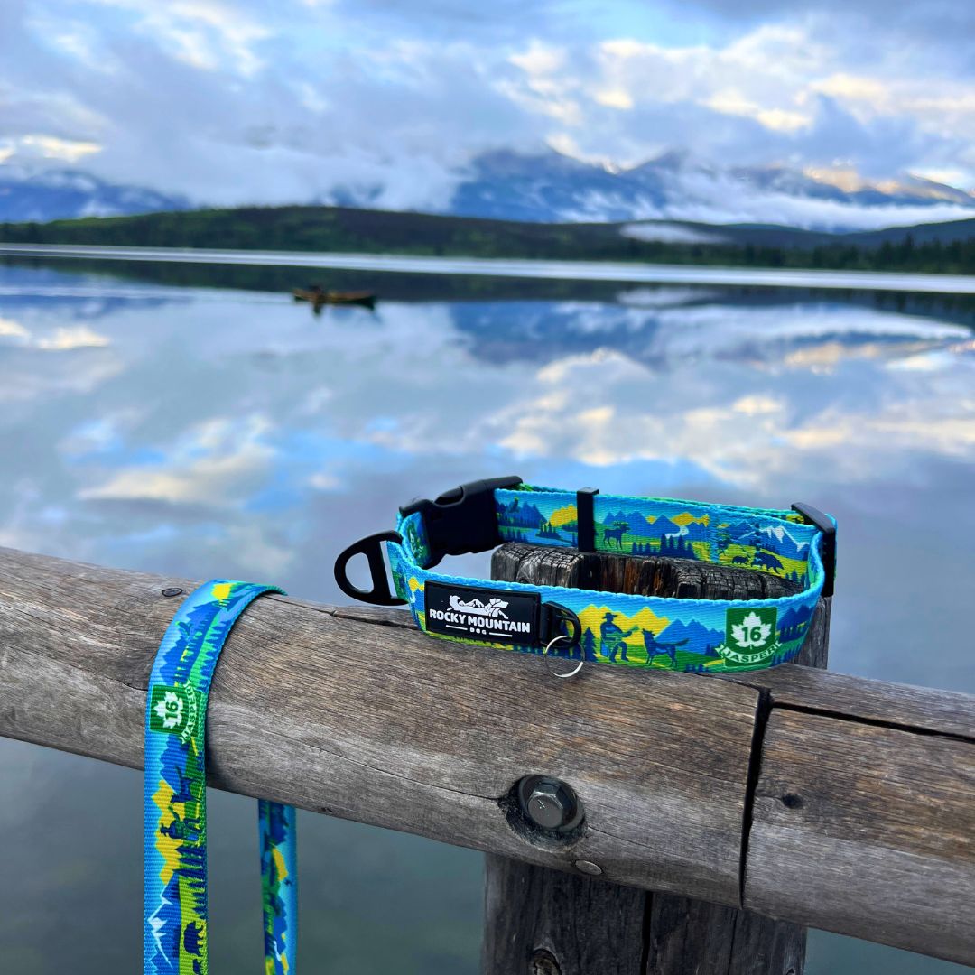 Rocky Mountain Dog Jasper Alpine 狗頸圈 產品細節圖 3