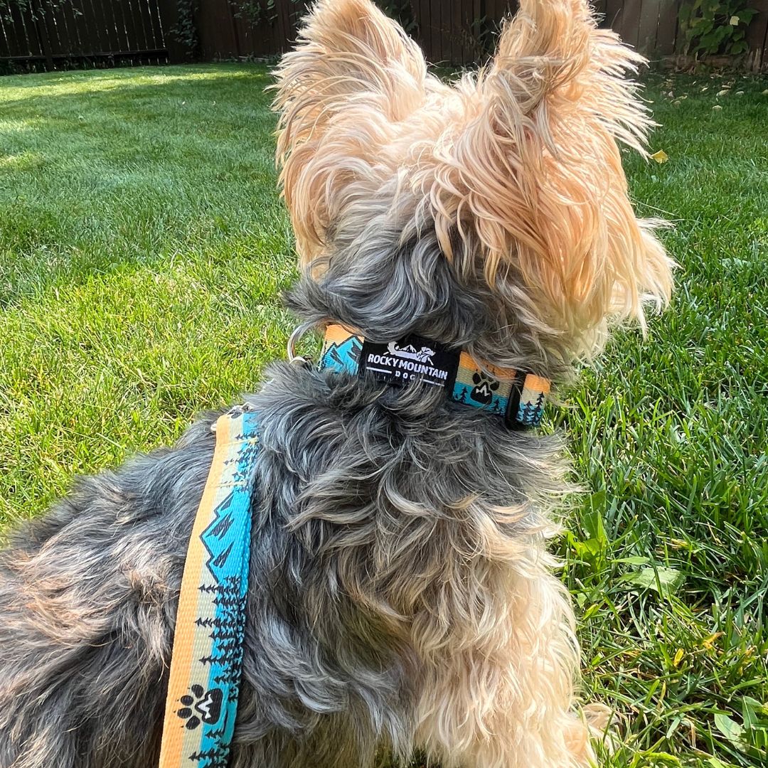 Rocky Mountain Dog Paw Mountain 狗頸圈 產品細節圖 3