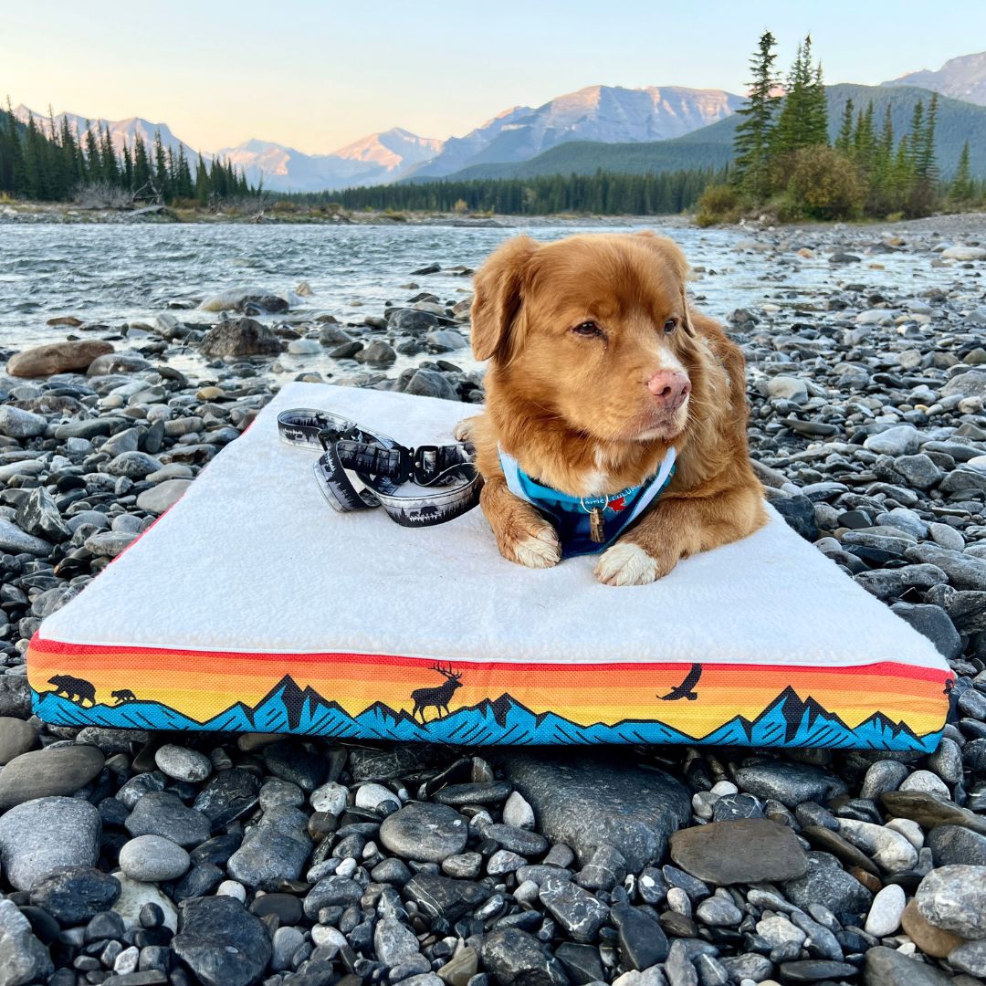 Rocky Mountain Dog Banff 狗床 產品細節圖 3