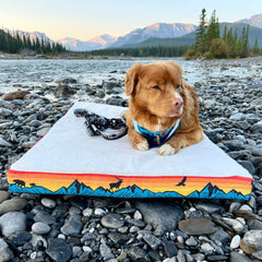 Rocky Mountain Dog Banff 狗床 產品細節圖 3