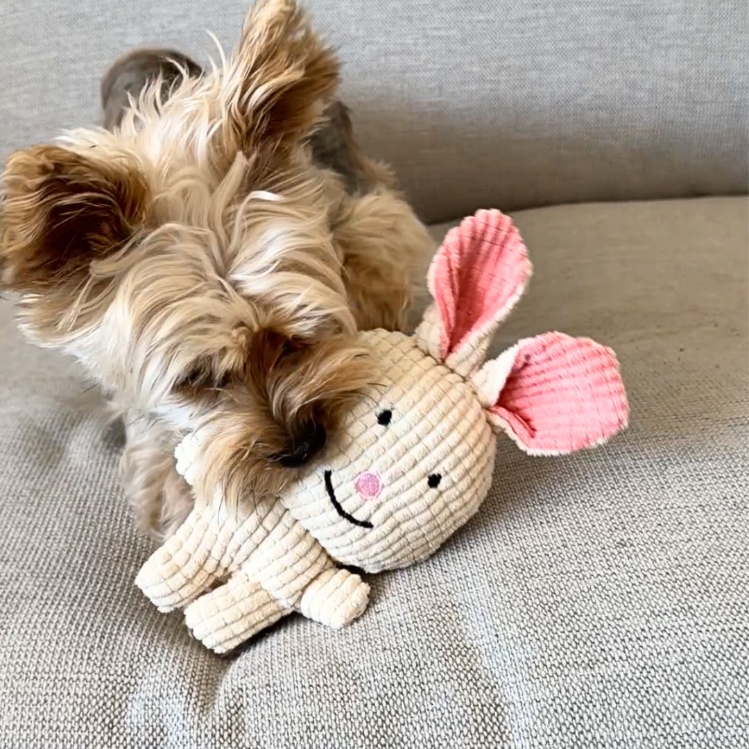 Rocky Mountain Dog Favourite Bunny Plush 狗狗玩具 產品細節圖 3