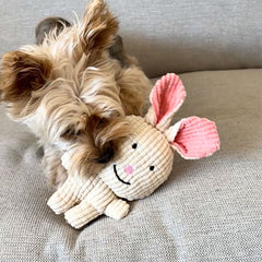 Rocky Mountain Dog Favourite Bunny Plush 狗狗玩具 產品細節圖 3