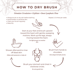 Cocoon Apothecary Dry Body Brush 護膚用品 產品細節圖 3