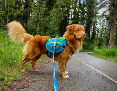 Rocky Mountain Dog Mountaineer 狗狗背囊 & Stand｜Alone 狗狗胸背帶 產品細節圖 4