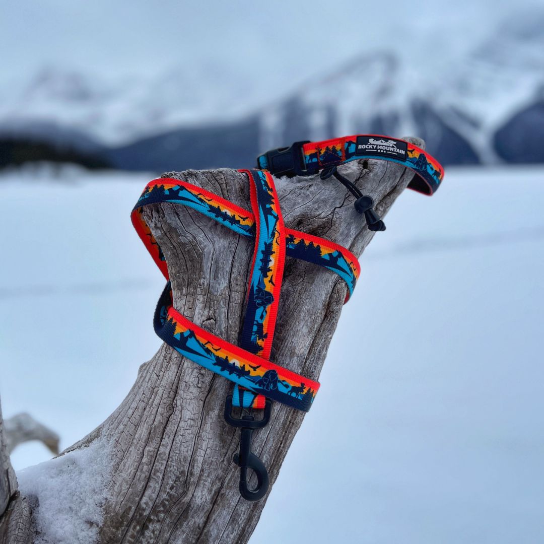 Rocky Mountain Dog Banff All Mountain 狗帶 產品細節圖 4