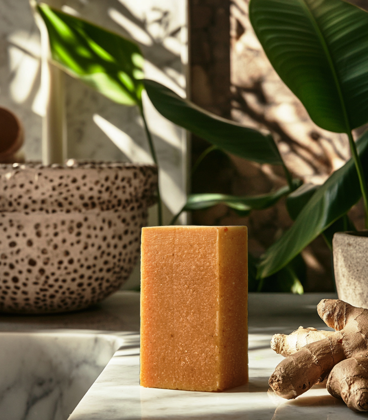 Crate 61 Organics Ginger & Cardamom 手工皂 產品細節圖 4