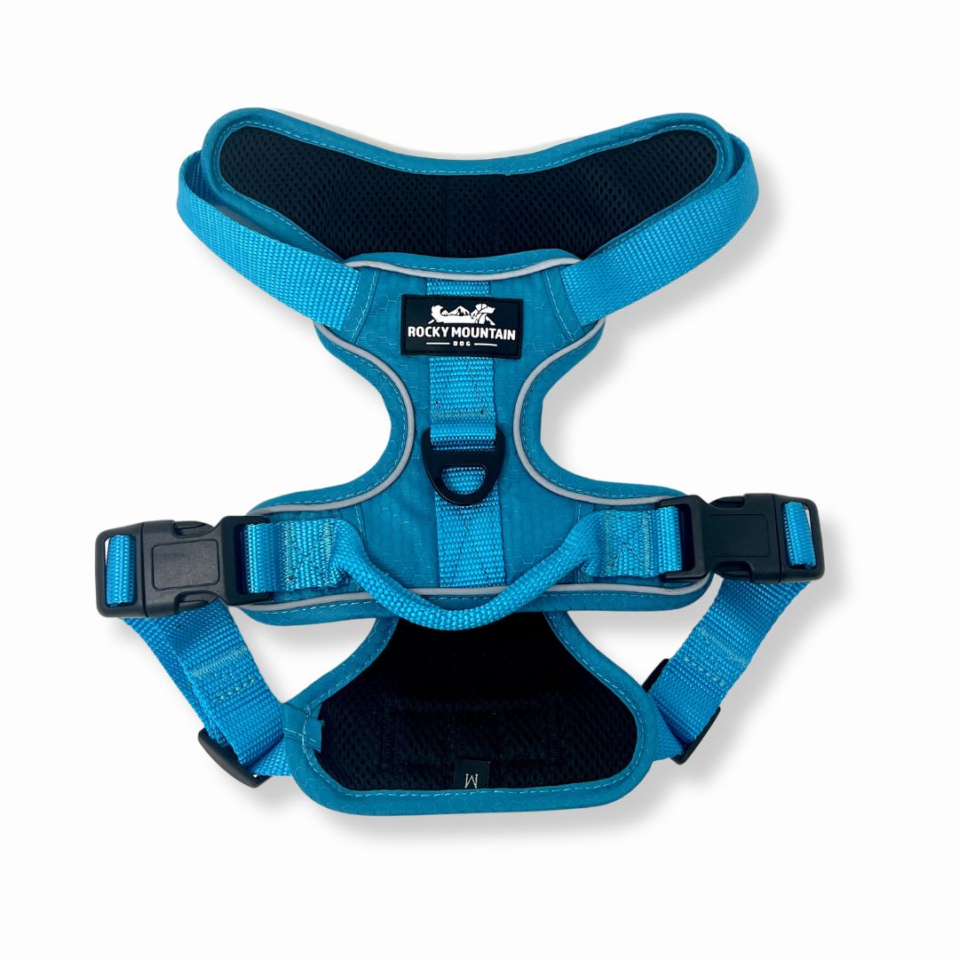 Rocky Mountain Dog Summit All｜Terrain Dog 狗狗胸背帶 產品細節圖 4