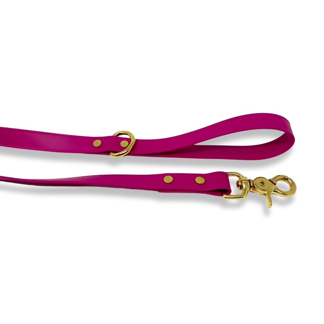 Rocky Mountain Dog RMD Biothane 狗帶es 產品細節圖 4