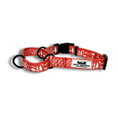 Rocky Mountain Dog Canadian Rockies Martingale Clip Collar 狗狗用品 產品細節圖 4