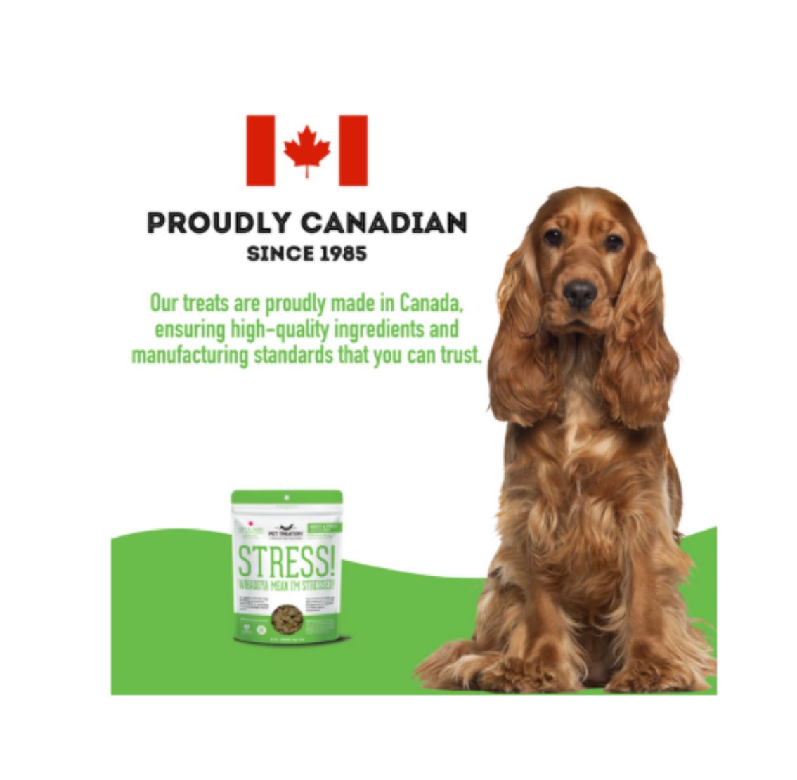 Rocky Mountain Dog Stress! Whaddya Mean｜Soft & Chewy Dog Supplement 狗狗用品 產品細節圖 4