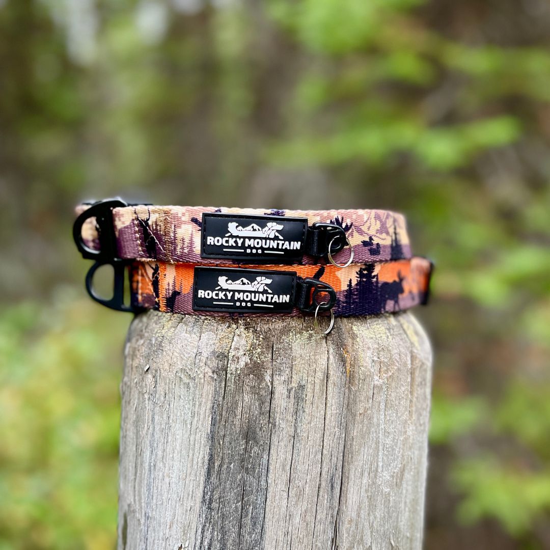 Rocky Mountain Dog Ranger Alpine Collar 狗狗用品 產品細節圖 4