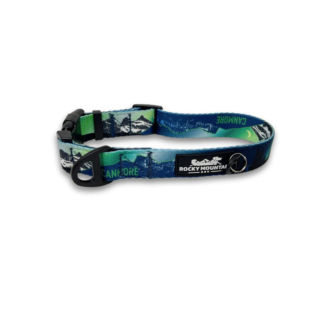 Rocky Mountain Dog V2 Canmore Alpine 狗頸圈 產品細節圖 4