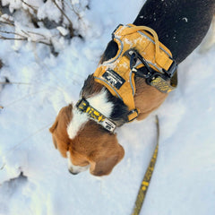 Rocky Mountain Dog Canadian Rockies 狗頸圈s 產品細節圖 5