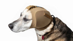 Rocky Mountain Dog EarPros 狗狗用品 產品細節圖 5
