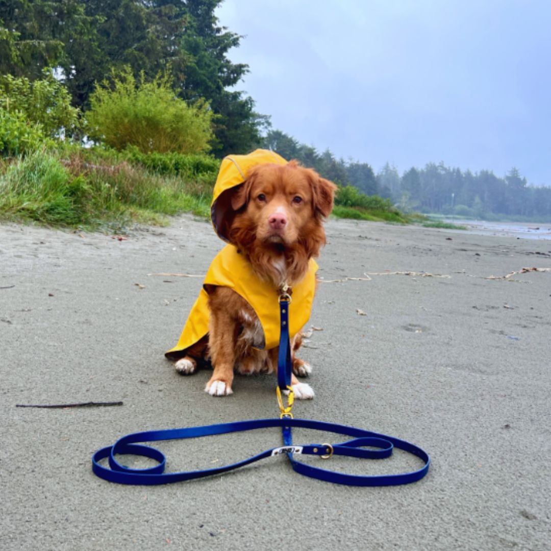 Rocky Mountain Dog Tofino Rain Jacket 狗狗用品 產品細節圖 5