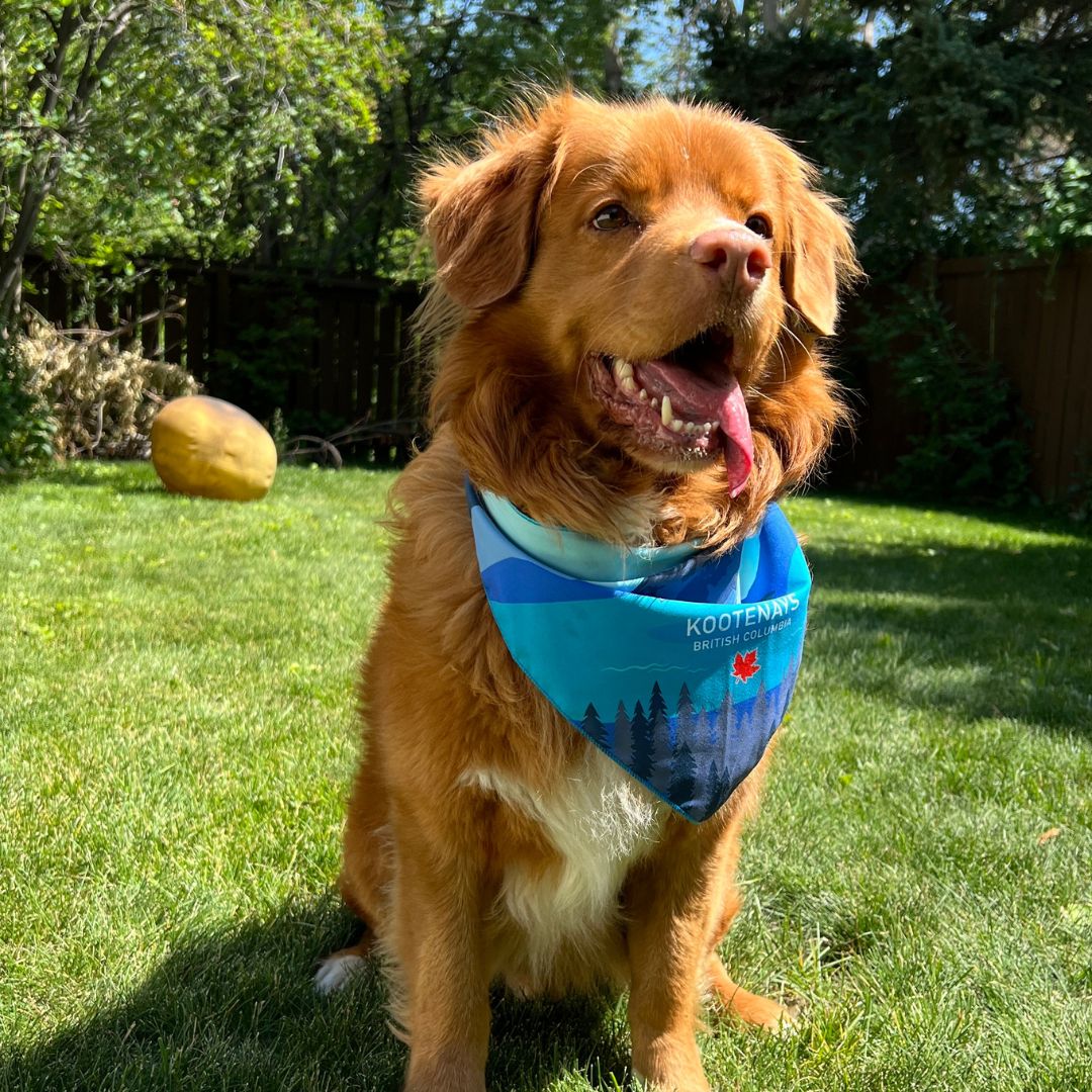 Rocky Mountain Dog Kootenay Bandana 狗狗用品 產品細節圖 5