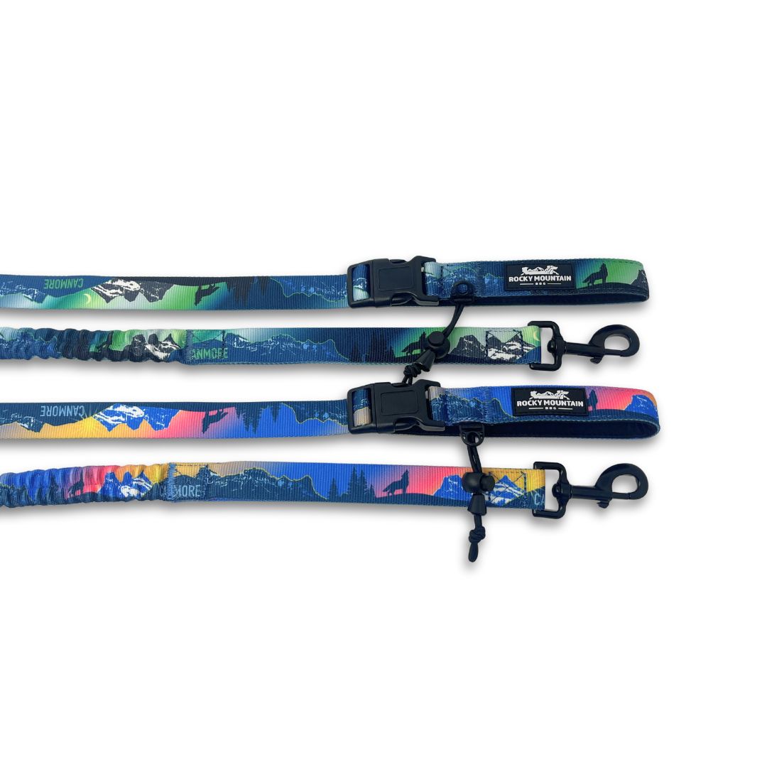 Rocky Mountain Dog V2 Canmore All Mountain 狗帶 產品細節圖 5