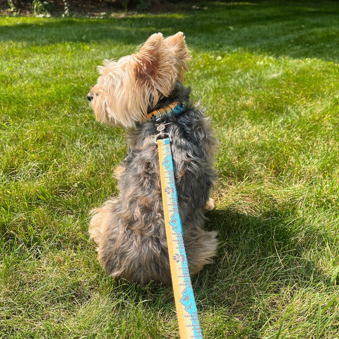 Rocky Mountain Dog Paw Mountain 狗帶 產品細節圖 5