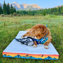 Rocky Mountain Dog Banff 狗床 產品細節圖 5