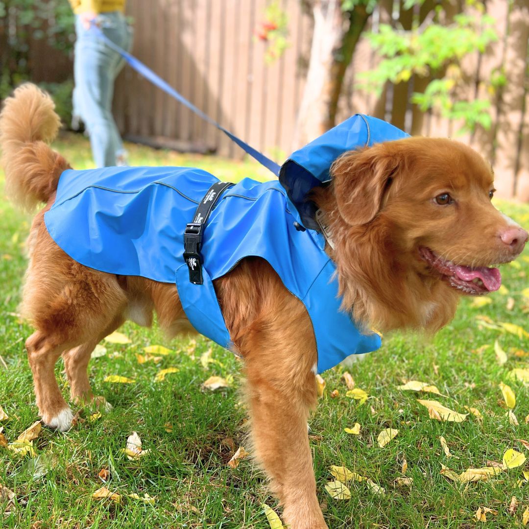 Rocky Mountain Dog Tofino Rain Jacket 狗狗用品 產品細節圖 6