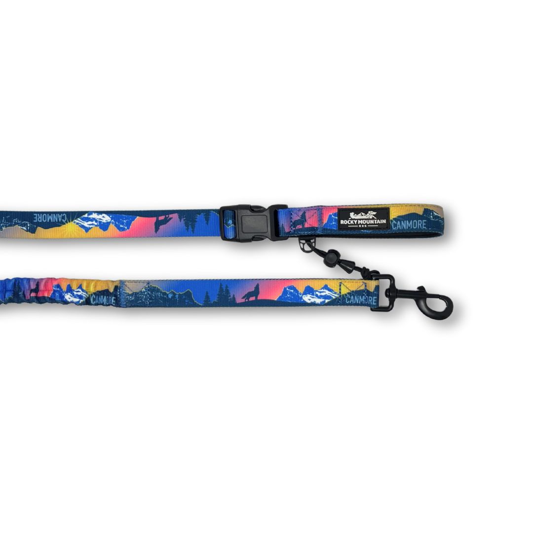 Rocky Mountain Dog V2 Canmore All Mountain 狗帶 產品細節圖 6