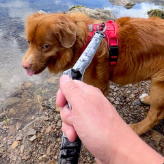 Rocky Mountain Dog The Wild Tactical 狗帶 產品細節圖 6