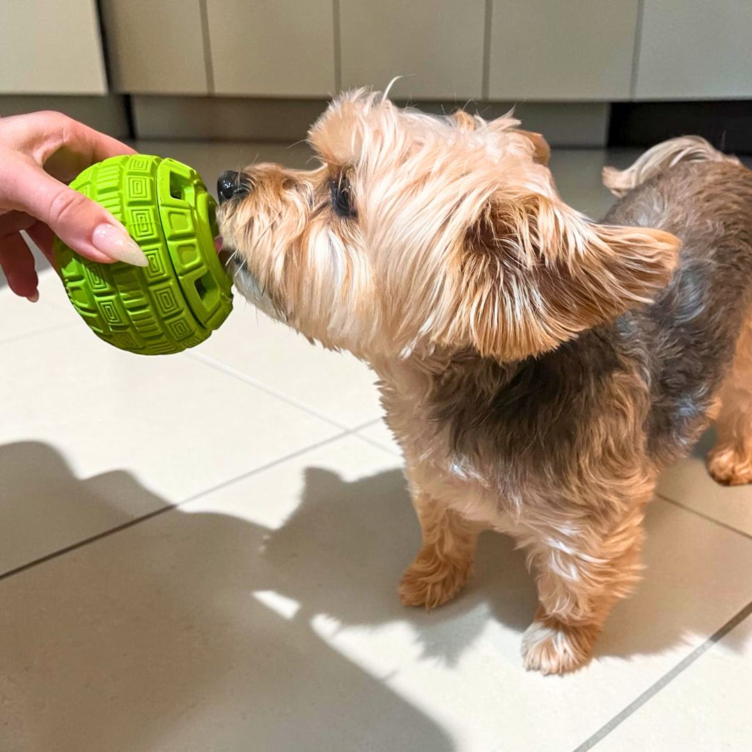Rocky Mountain Dog The Sphere Interactive Frozen Treat Toy 狗狗用品 產品細節圖 6