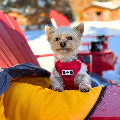 Rocky Mountain Dog Yukon Dog Sleeping Bag 狗狗用品 產品細節圖 7