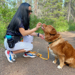 Rocky Mountain Dog Aspen Fanny Pack 狗狗用品 產品細節圖 7