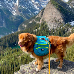 Rocky Mountain Dog Mountaineer 狗狗背囊 & Stand｜Alone 狗狗胸背帶 產品細節圖 7