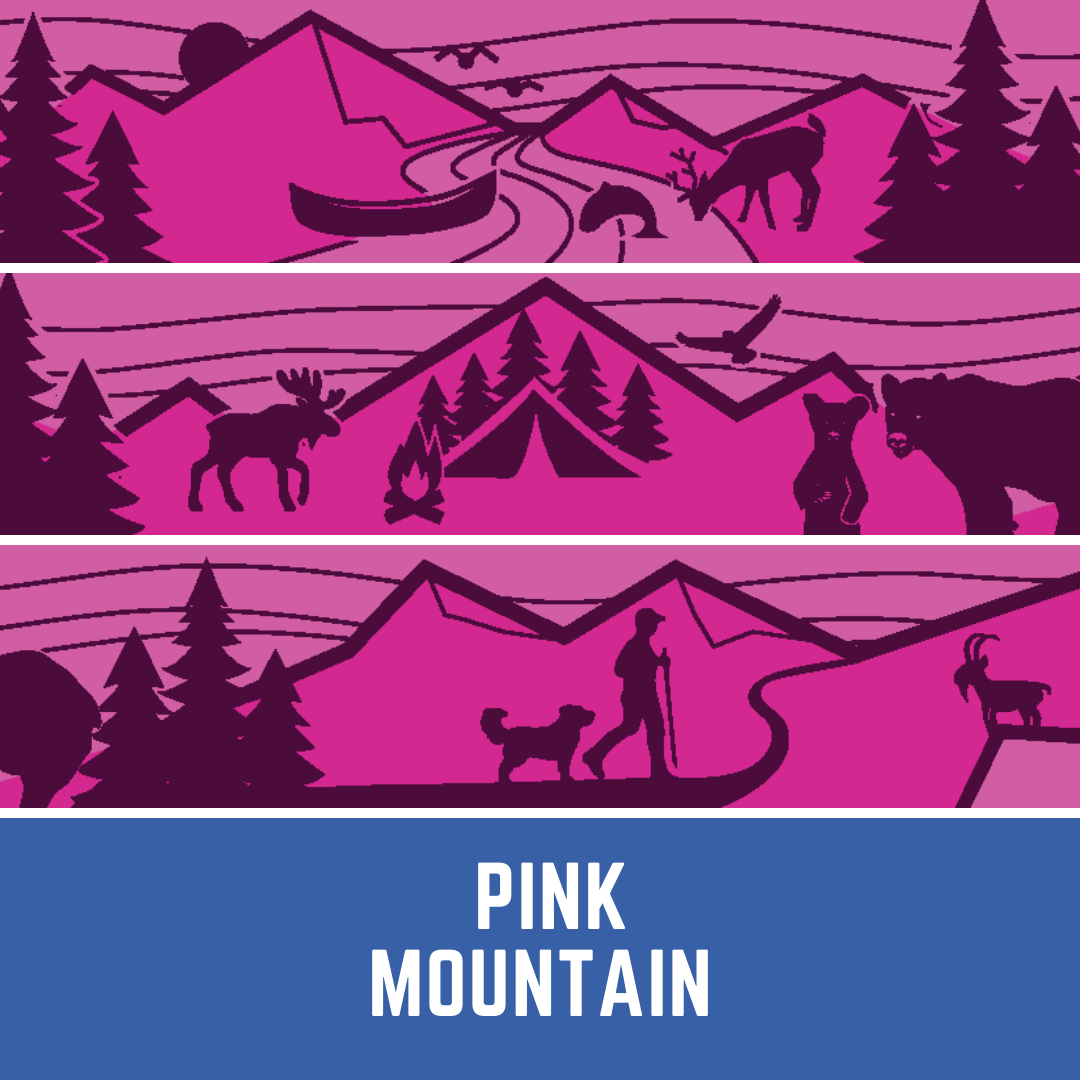 Rocky Mountain Dog Cascade All Mountain 狗帶 產品細節圖 8