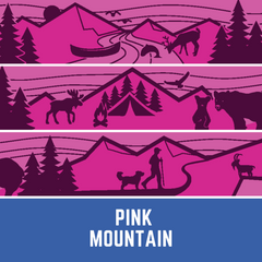 Rocky Mountain Dog Cascade All Mountain 狗帶 產品細節圖 8