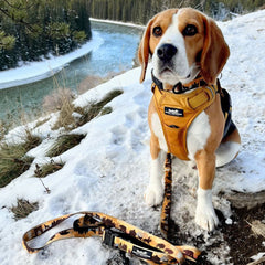Rocky Mountain Dog Yellowstone All Mountain 狗帶 產品細節圖 8