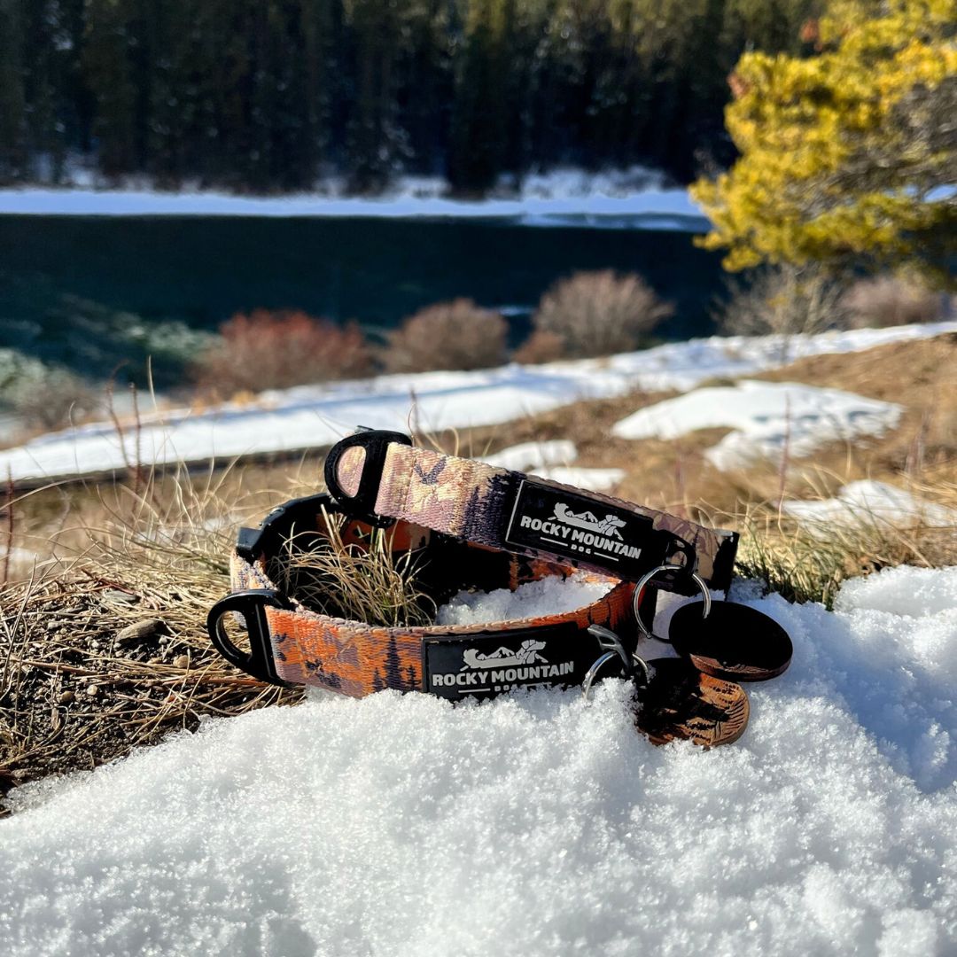 Rocky Mountain Dog Ranger Alpine Collar 狗狗用品 產品細節圖 8
