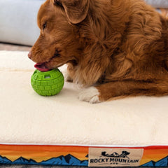 Rocky Mountain Dog The Sphere Interactive Frozen Treat Toy 狗狗用品 產品細節圖 8