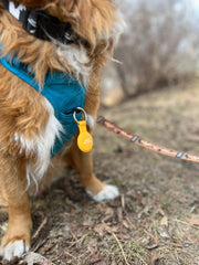 Rocky Mountain Dog RMD AirTag Keychain Holder 狗狗用品 產品細節圖 9