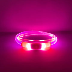 Rocky Mountain Dog Mountain Beacon｜LED Dog Safety Collar 狗狗用品 產品細節圖 9
