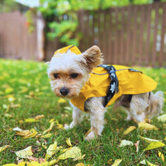 Rocky Mountain Dog Tofino Rain Jacket 狗狗用品 產品細節圖 9