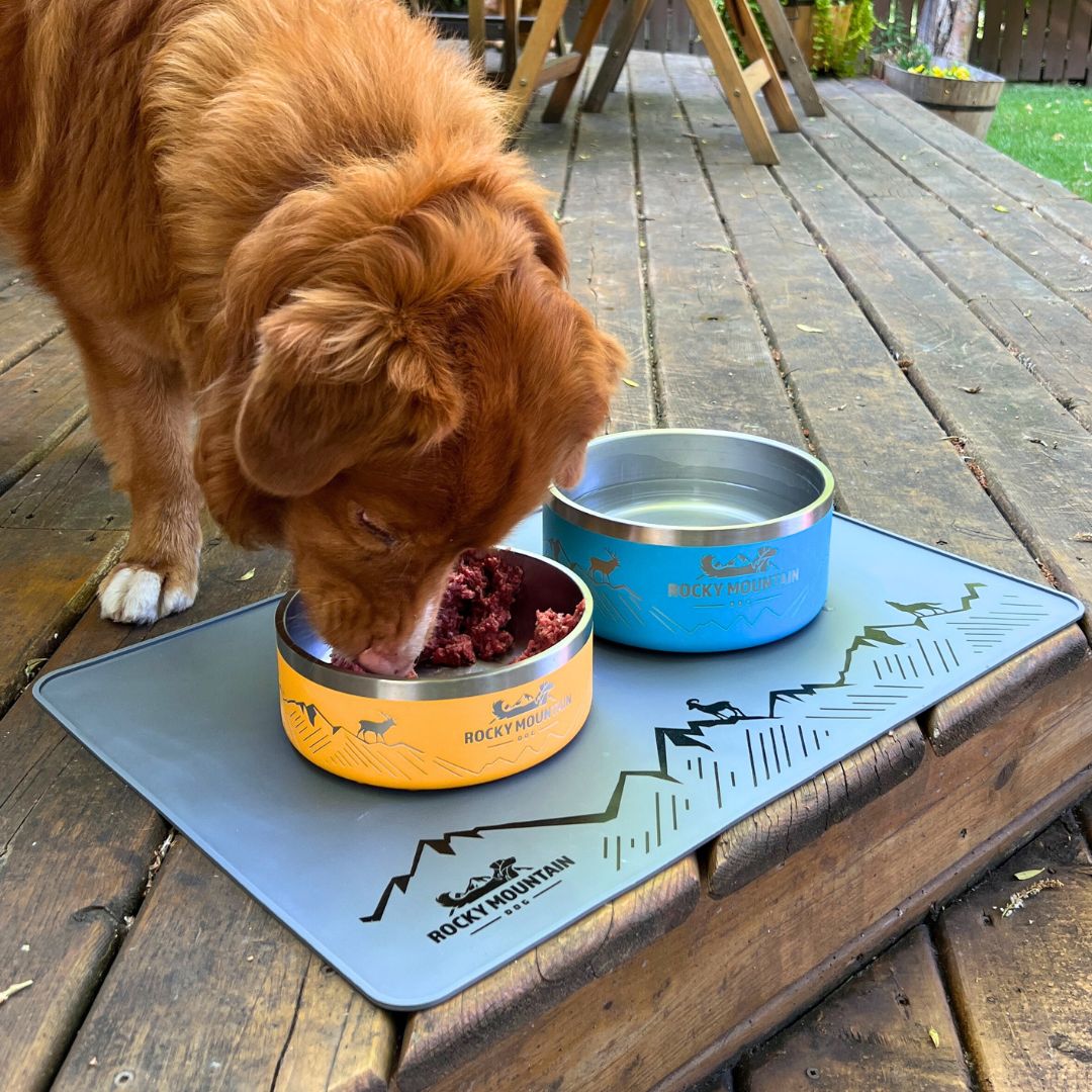 Rocky Mountain Dog Rocky Mountain 狗碗 產品細節圖 9