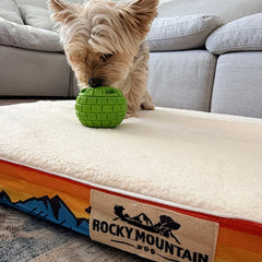 Rocky Mountain Dog The Sphere Interactive Frozen Treat Toy 狗狗用品 產品細節圖 9