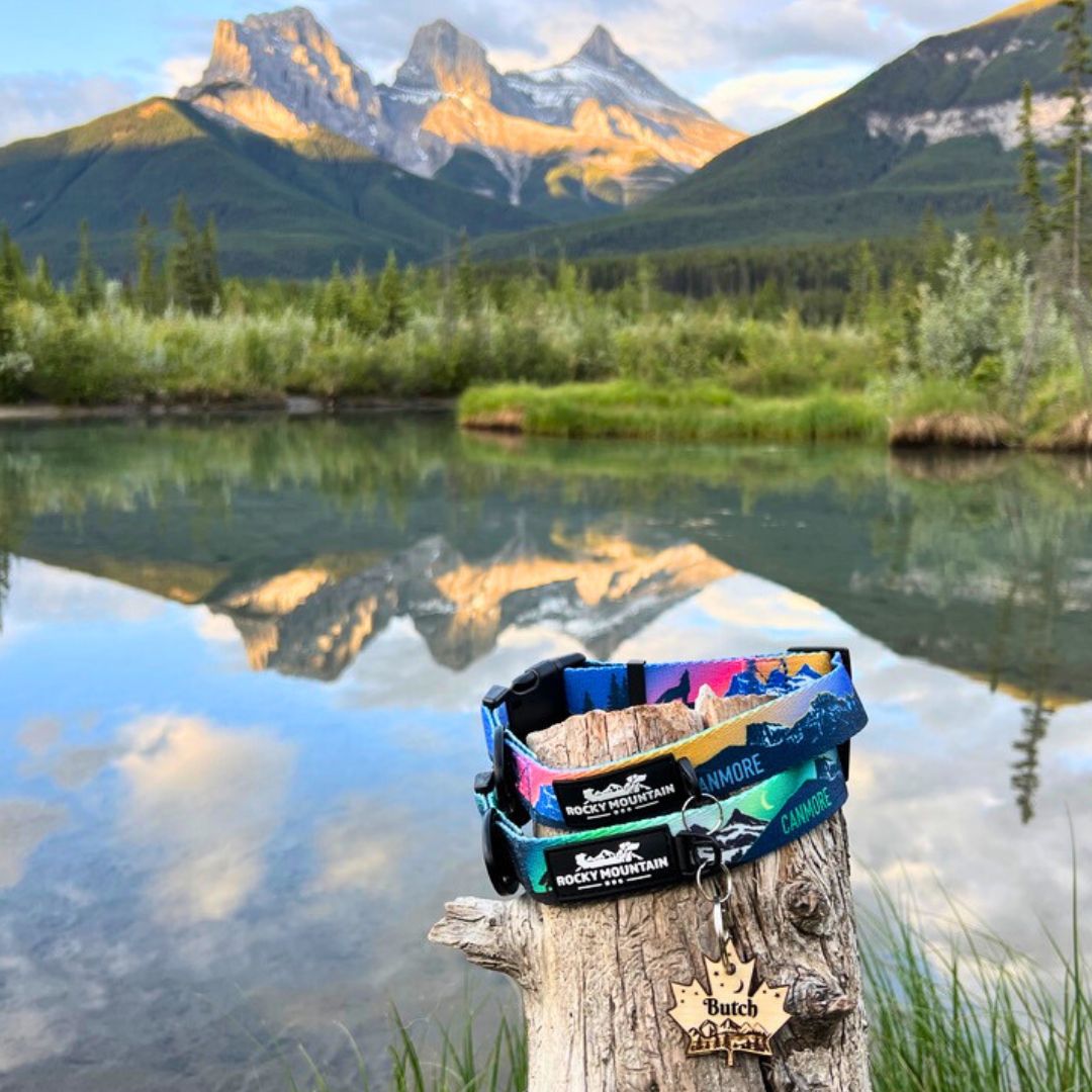 Rocky Mountain Dog V2 Canmore Alpine 狗頸圈 產品細節圖 10