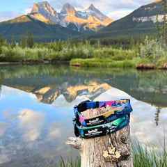 Rocky Mountain Dog V2 Canmore Alpine 狗頸圈 產品細節圖 10