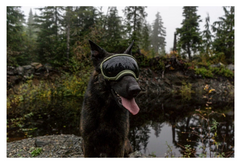 Rocky Mountain Dog V2 Large 狗狗護目鏡 產品細節圖 11