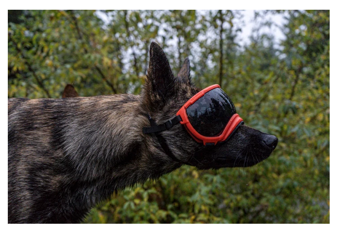 Rocky Mountain Dog V2 Large 狗狗護目鏡 產品細節圖 12