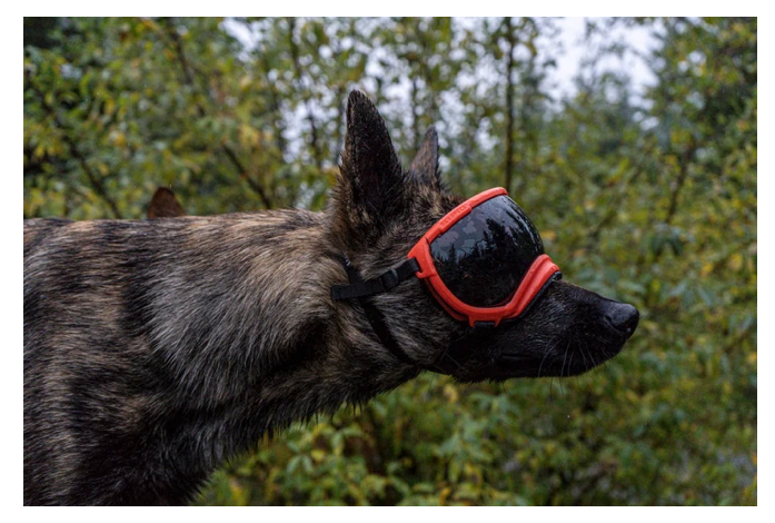 Rocky Mountain Dog V2 Medium 狗狗護目鏡 產品細節圖 12