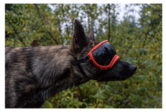 Rocky Mountain Dog V2 Medium 狗狗護目鏡 產品細節圖 12