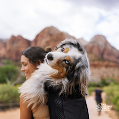 Rocky Mountain Dog K9 Sport Sack Knavigate 狗狗用品 產品細節圖 14