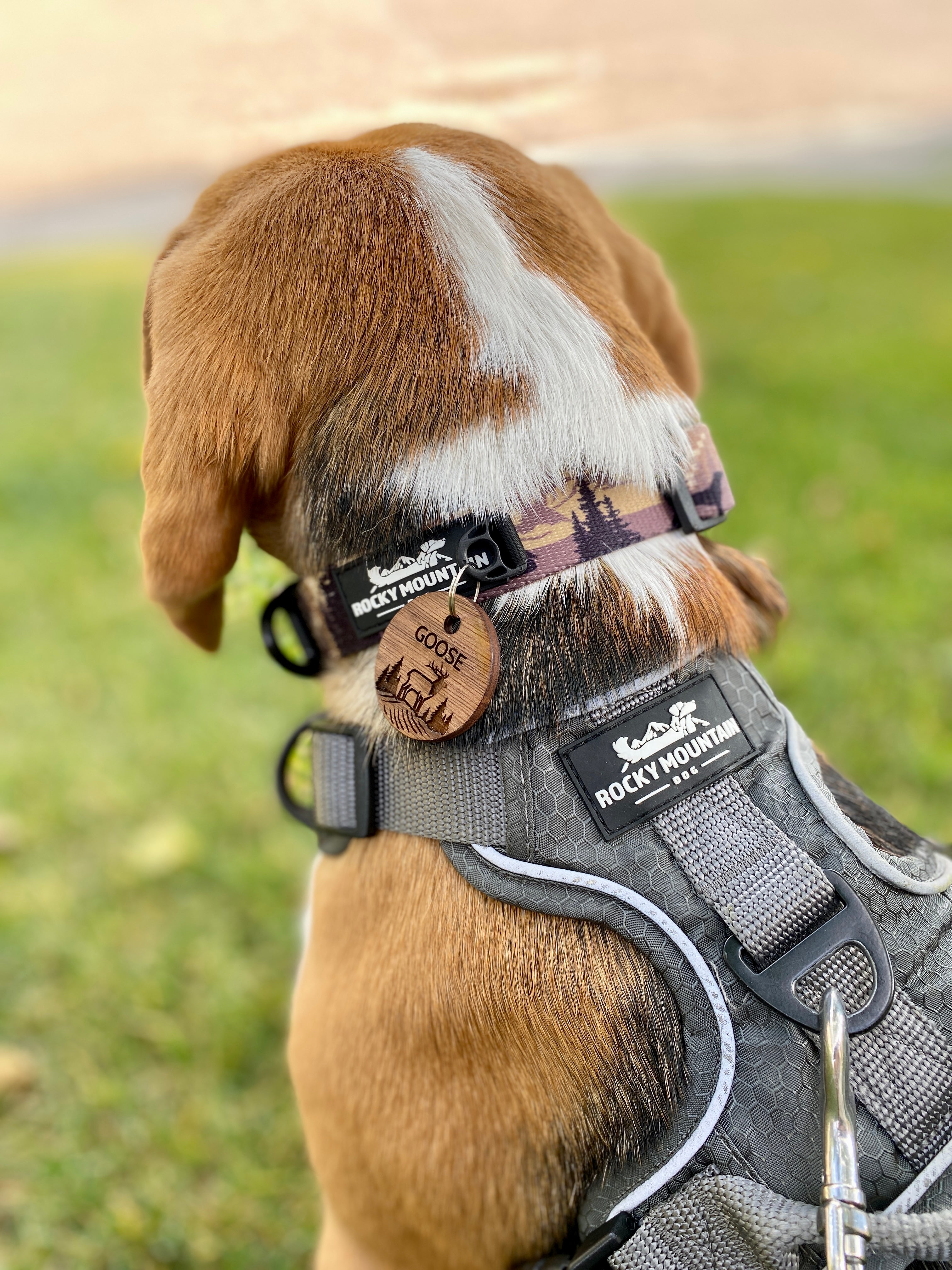 Rocky Mountain Dog Personalized Wooden Dog 寵物名牌 產品細節圖 16